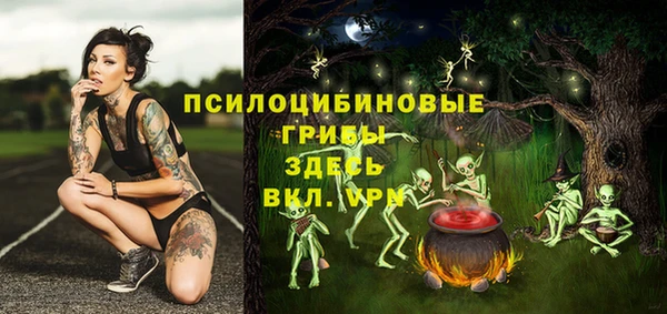 не бодяженный Михайлов