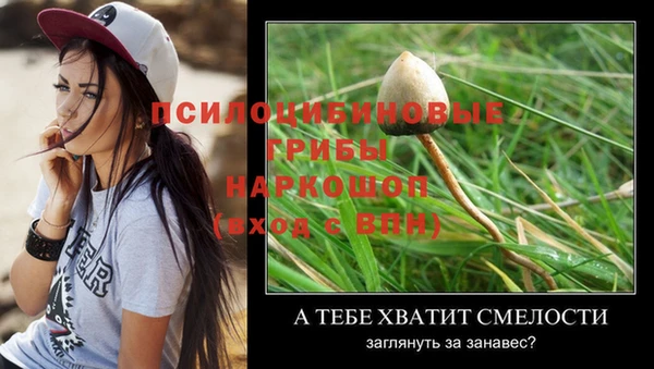 ECSTASY Баксан