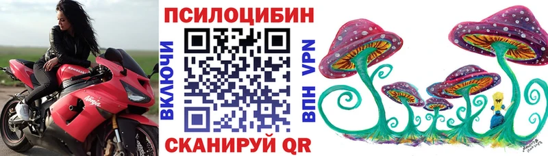 Галлюциногенные грибы GOLDEN TEACHER Богородицк