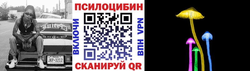 купить   Богородицк  Галлюциногенные грибы мухоморы 